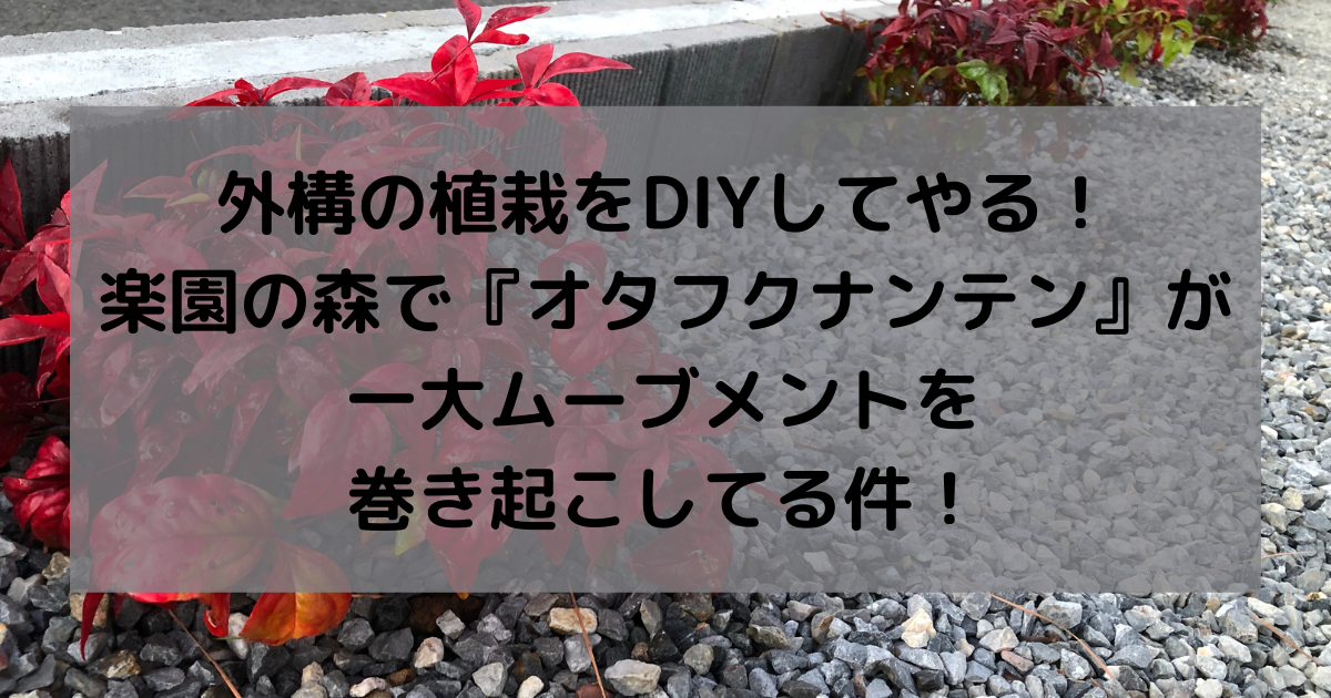 外構の植栽をdiyしてやる 楽園の森で オタフクナンテン が一大ムーブメントを巻き起こしてる件 副業パパが家を買う